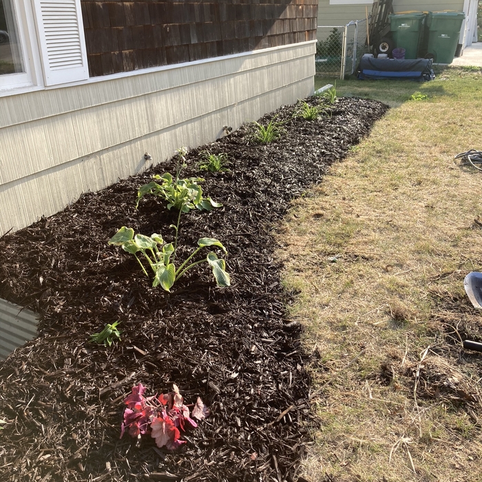 New flower bed install