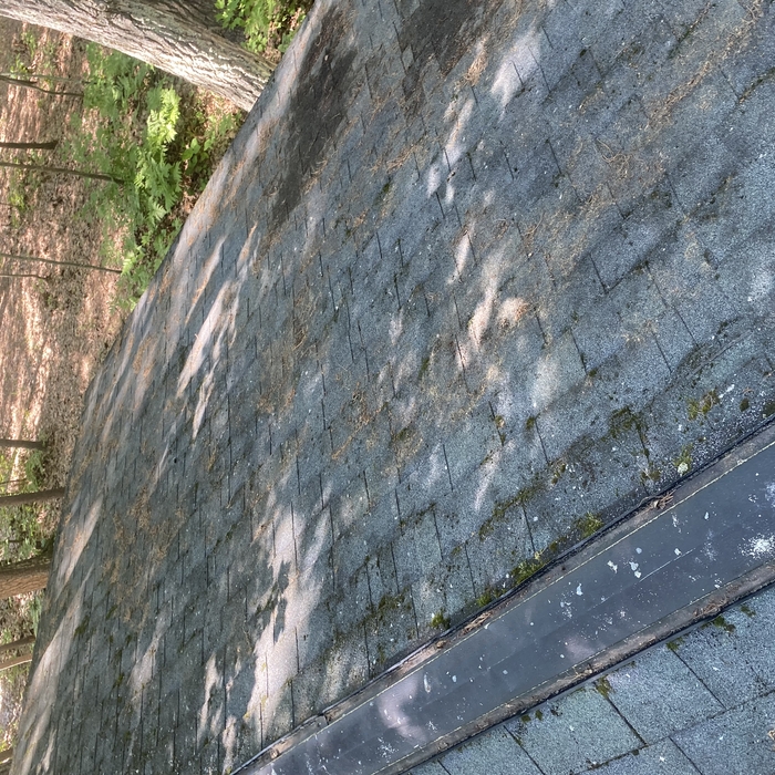 Power washing/moss treatment