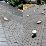 Moss Removal and Soft Wash