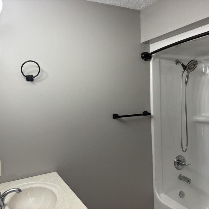 Complete house painting