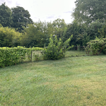 Property cleanup