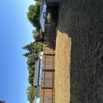 Yard clean up