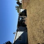 Yard clean up