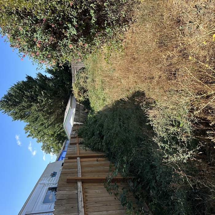 Yard clean up