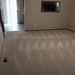 Carpet vacuum