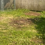 Yard work