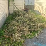 Yard work
