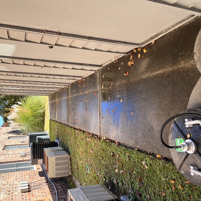 Pressure Washing Project