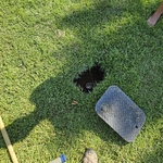 Lawn Irrigation Project