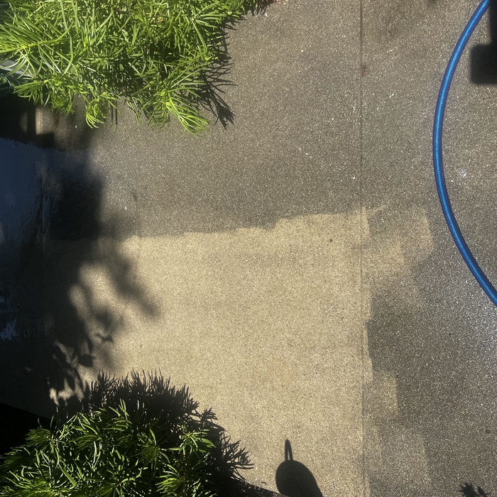 Pressure Washing Project