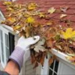 Roof cleaning