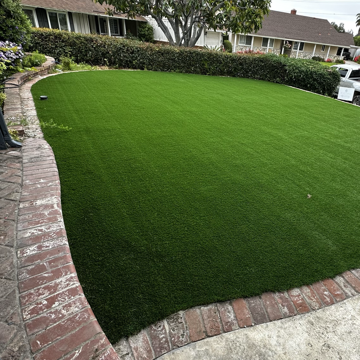 Additional Photos