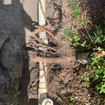 Clean out for sewer