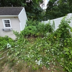 Brush clean out