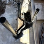 Plumbing Project