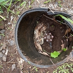 Plumbing Project
