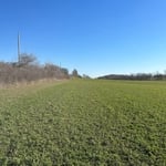 Cleared about 4000' of trees and shrubs and old fence line