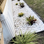 Landscaping Project