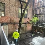 Landscaping Project