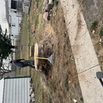 Tree Service Project