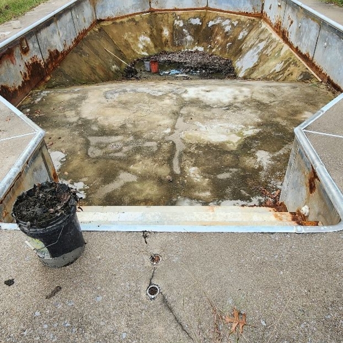 Pool & Spa Service and Repair Project