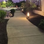 Landscaping Project