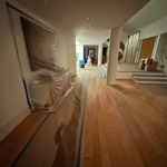 Mold Remediation