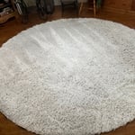 Carpet Cleaning Project