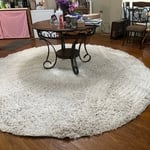 Carpet Cleaning Project