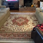 Carpet Cleaning Project