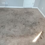 Carpet Cleaning Project