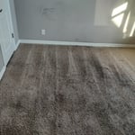 Carpet Cleaning Project