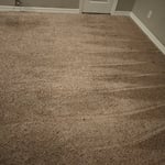 Carpet Cleaning Project