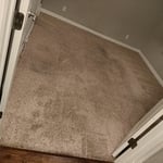 Carpet Cleaning Project