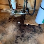 Water leak that has left the home with foreign substance growth.