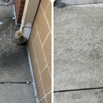 this was a side walk that has a gutter that drips water on it. has been like that for years until now.