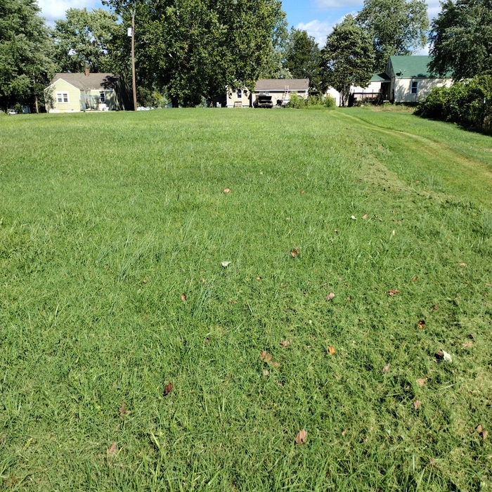 Landscaping Project