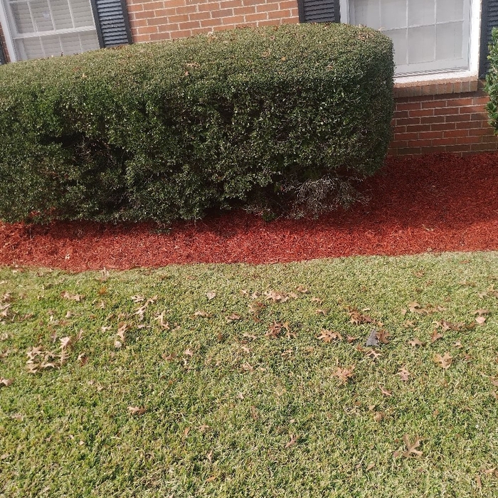 Additional Photos