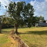 Tree Service