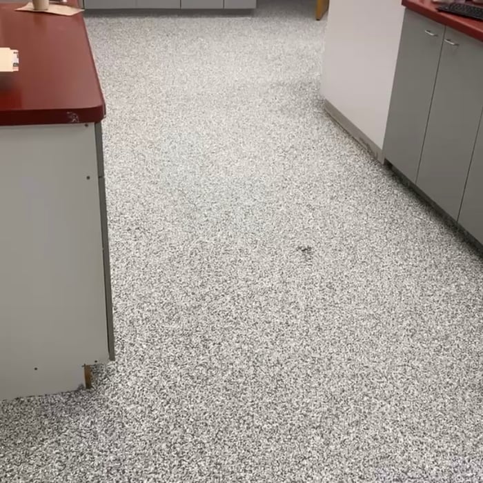 Epoxy Floor Vet clinic