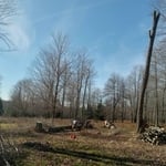Clearfield pa