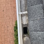 Gutter cleaning