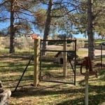 Fencing Project