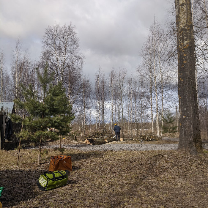 Additional Photos