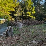 Tree removal/ mulching Slidell la
