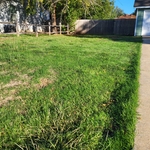 Before front side yard