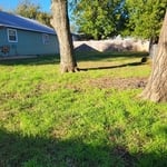Before backyard