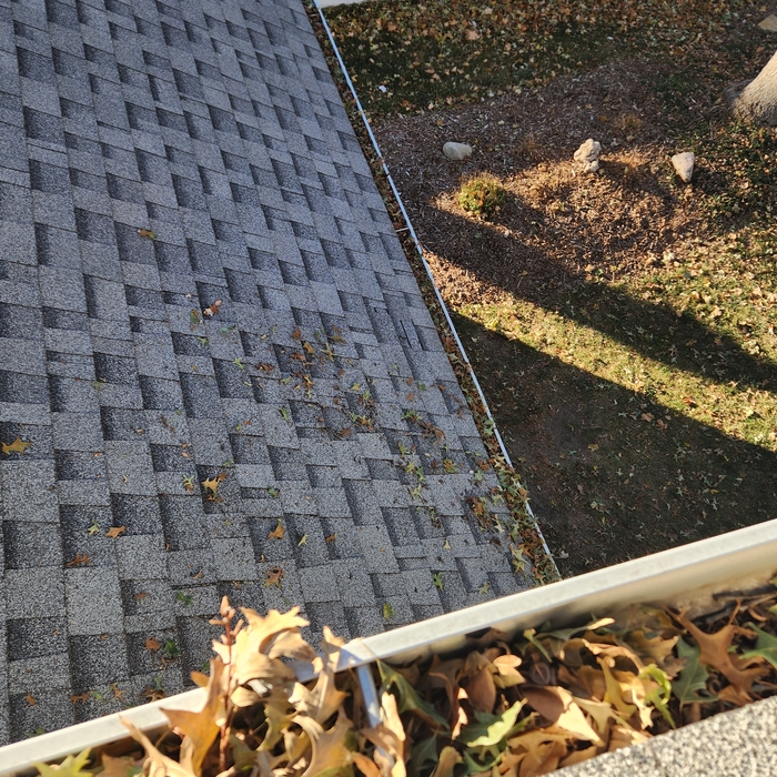 Gutter cleaning