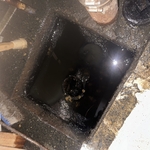 Sewer Cleaning Project