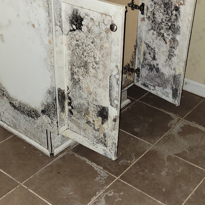 Condition 3 mold